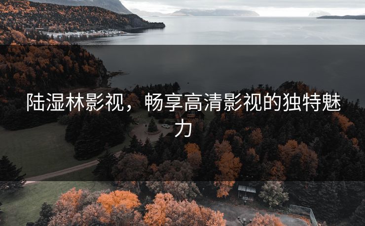 陆湿林影视，畅享高清影视的独特魅力