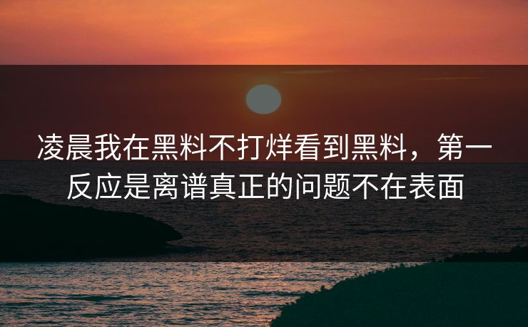 凌晨我在黑料不打烊看到黑料，第一反应是离谱真正的问题不在表面